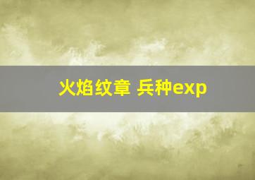 火焰纹章 兵种exp